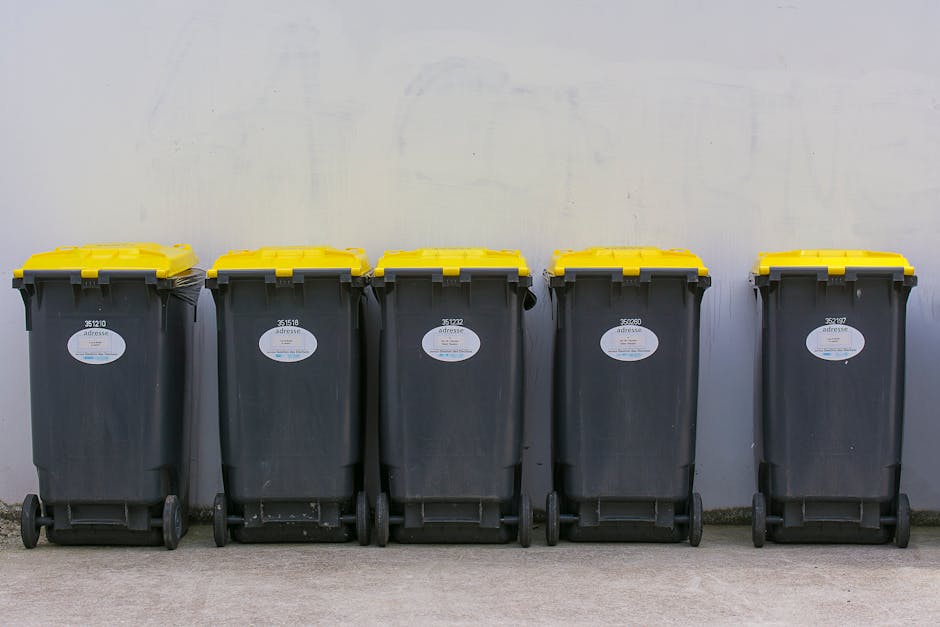 Insider tips to avoid delays in Golders Green rubbish collection